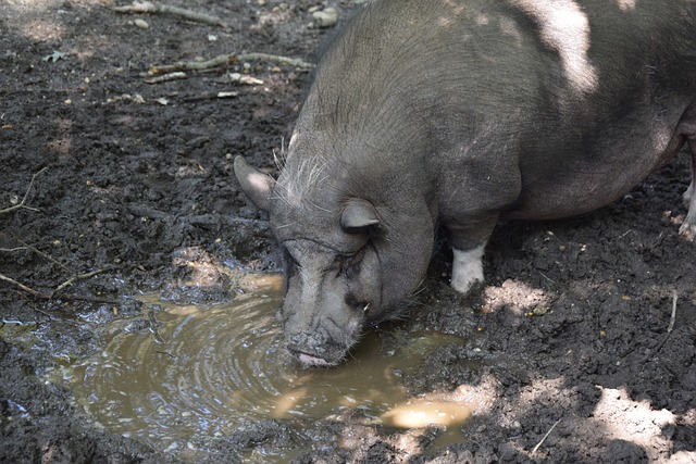 致球员离队 致球员离队
