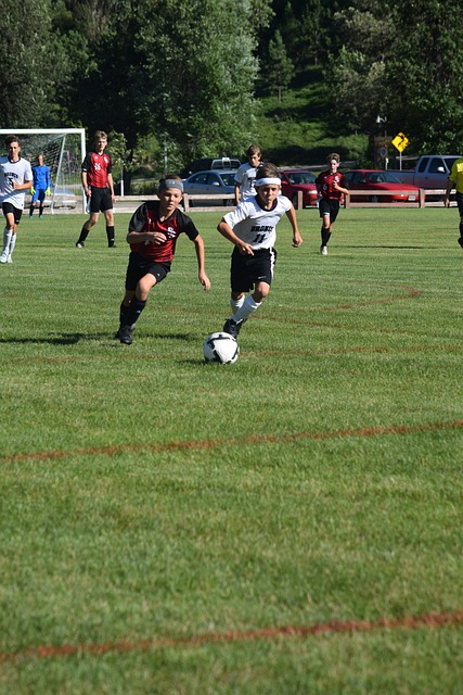 在寻找新的 在寻找新的