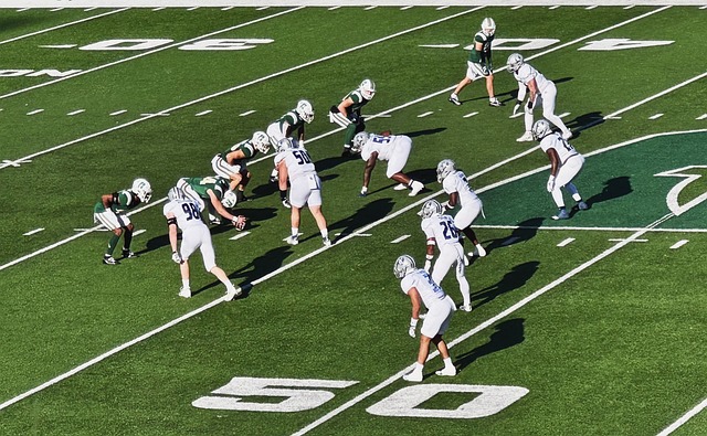 篮坛内外的 篮坛内外的